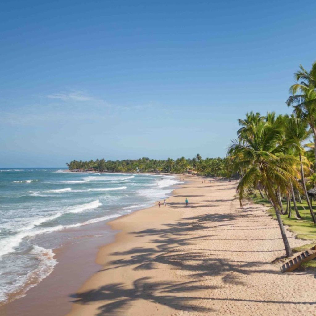 REVEILLON ENCANTO 2025 TAIPU DE FORA